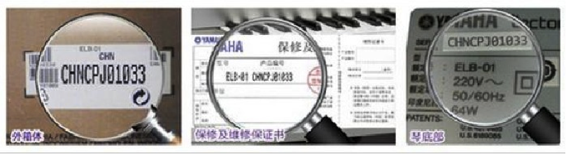 紧急声明：谨防太阳城官网电子琴假冒伪劣商品 